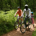 Family cycling in Hamsterley Forest. Kielder FD