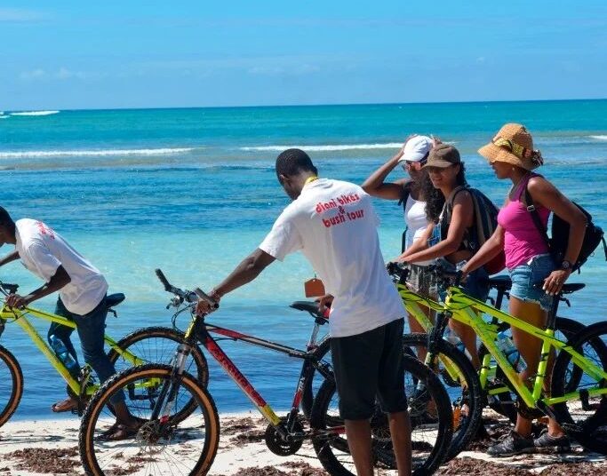 Guests having fun on the beach tour