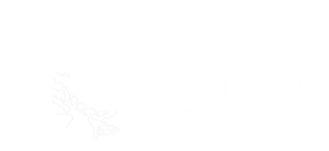 temple_point_logo-white